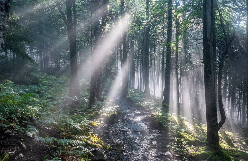 Sunbeams made for beautiful hiking