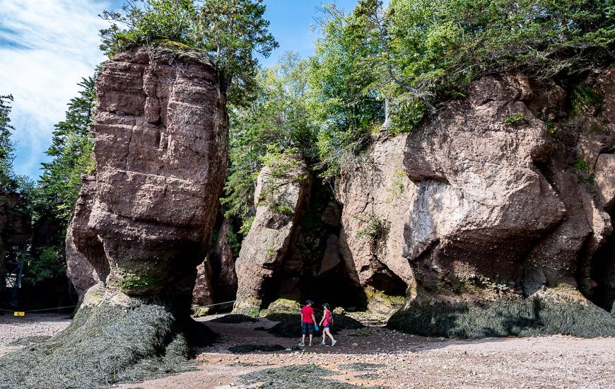 Photographers will love the ever changing landscape at Hopewell Rocks