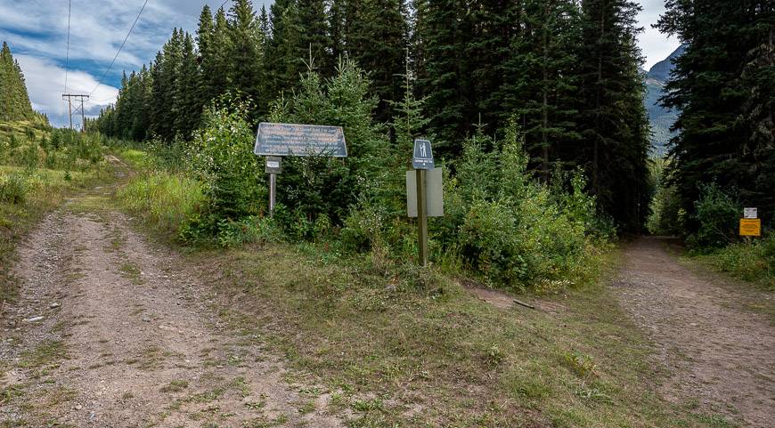 Go left at this intersection on the Pigeon Mountain hike