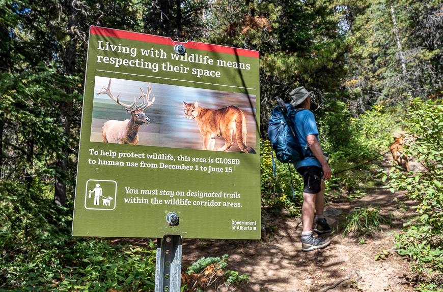 The turnoff onto the Pigeon Mountain trail