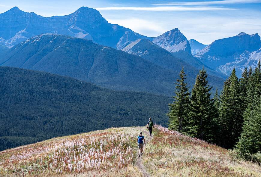 Once you're above treeline the views on the hike are first-class