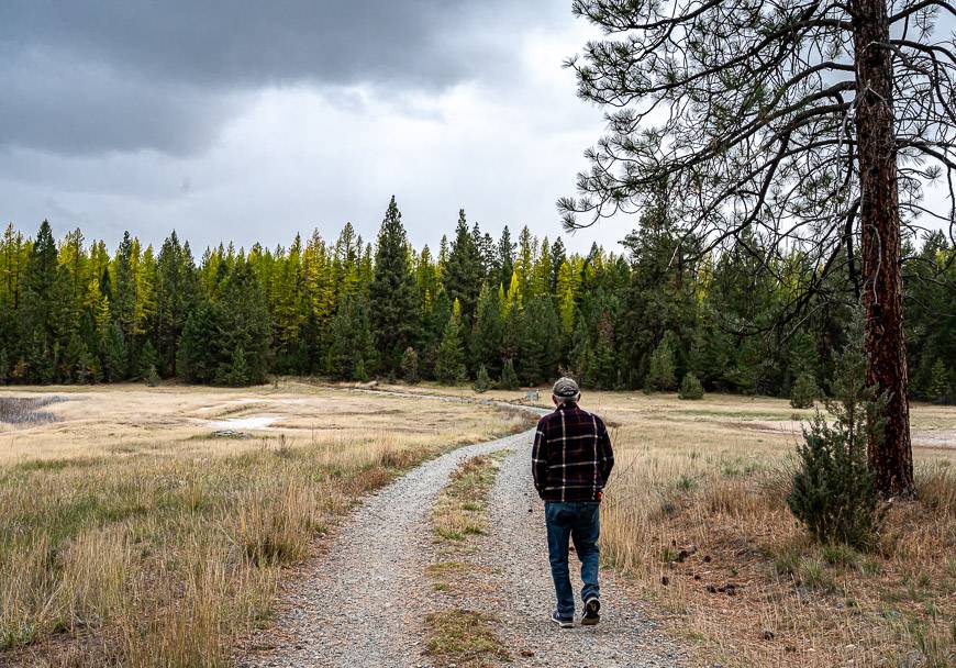 Hiker heading towards the larch forest