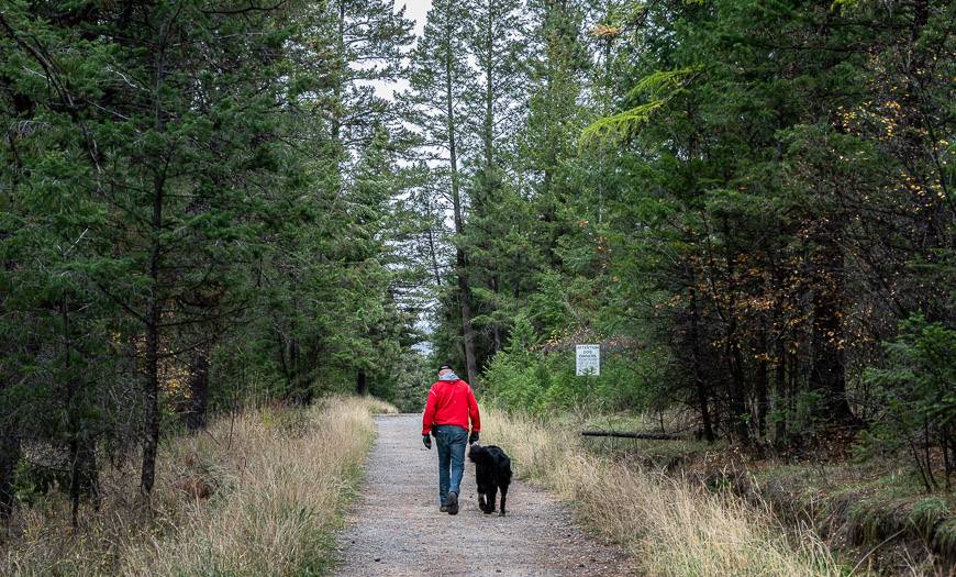 Starting off on the Sylvan Lake Forest Service Road off of 2nd St S in Cranbrook