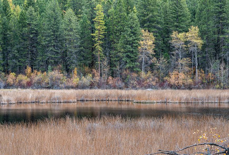 The hike around Kettle Lake is a pretty one