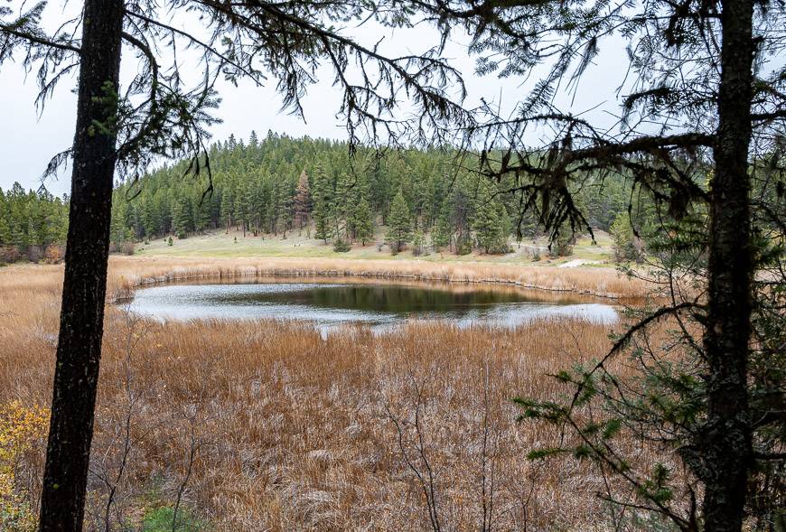 Look for picnic tables and benches around Kettle Lake