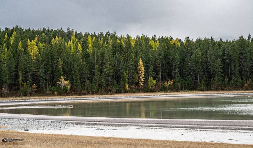 Larches overlooking Four Lakes