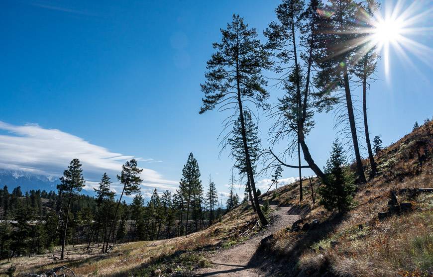 Lovely flow to the Padawan Trail whether biking or hiking it