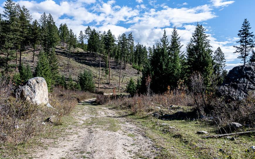 Cranbrook hikes - Devils Hole