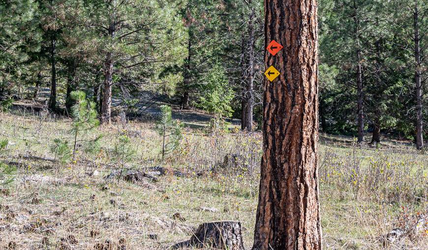 When you see these markers in the tree turn left up another road