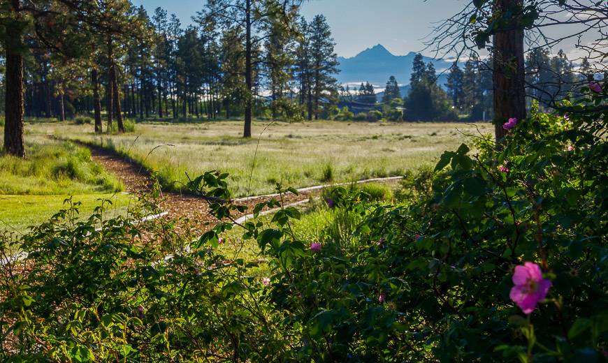 Hiking the Elizabeth Lake trails on a previous visit in June