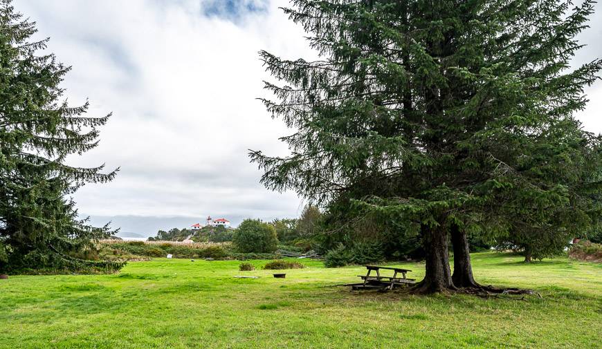 There is a grassy campsite in Yuquot you can use once you've paid the $50 