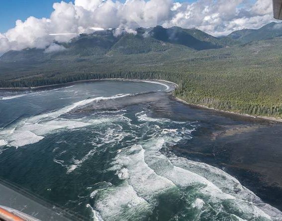A view of the Nootka Trail from the air
