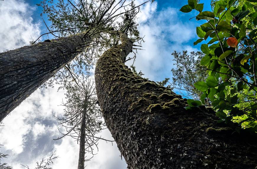 Don't forget to look up