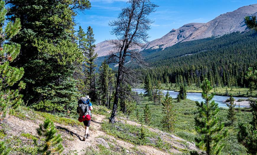 Very pleasant hiking along the Brazeau River