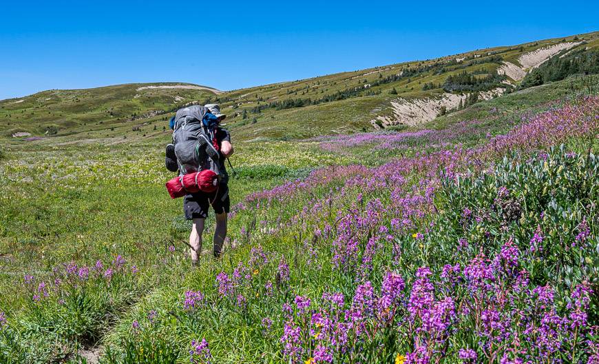 Brazeau Loop Trail - and sublime hiking on the way to Poboktan Pass