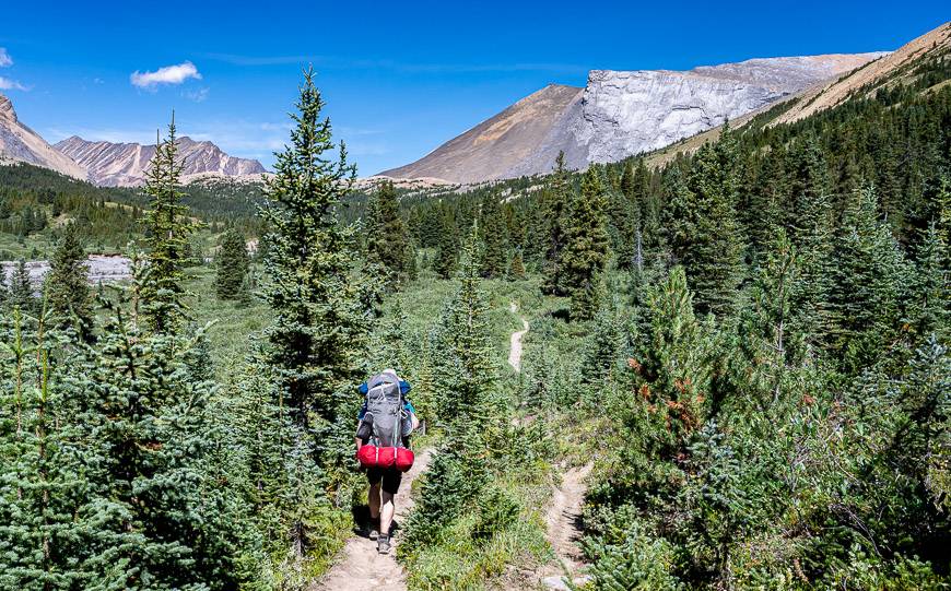 Heading for Nigel Pass and then the Brazeau Loop trail