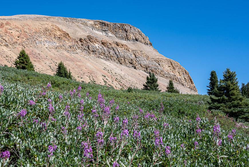 Quite the contrast in colours north of Poboktan Pass