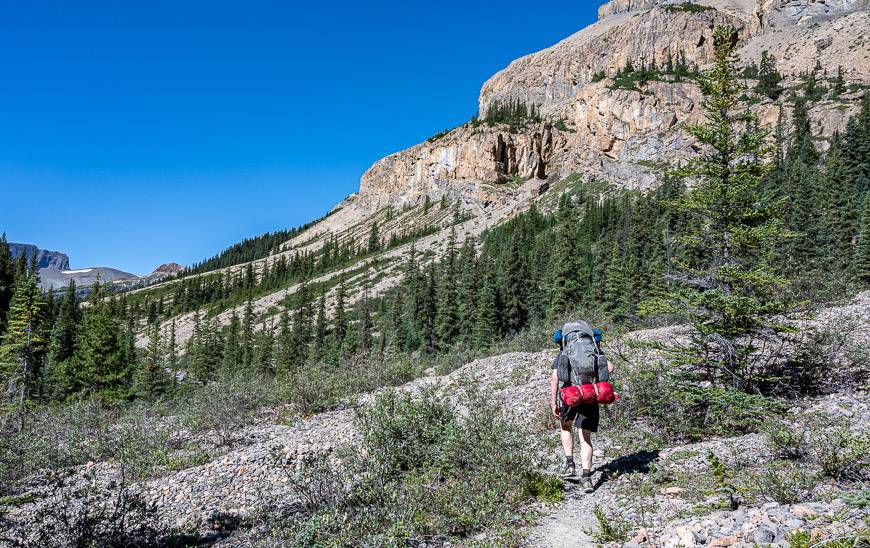 Up the valley on the way to John John Campground  via the Brazeau Loop trail