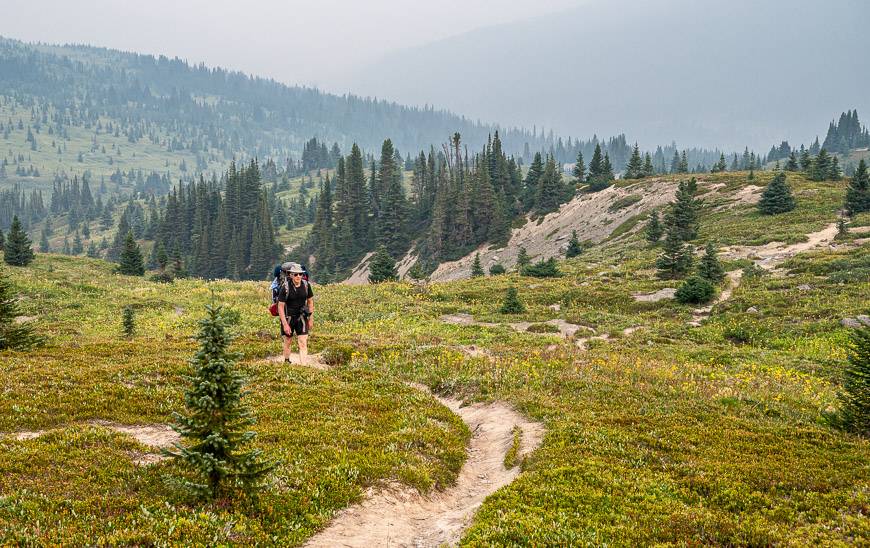 Lovely hiking out of the trees above Jonas Cutoff campground