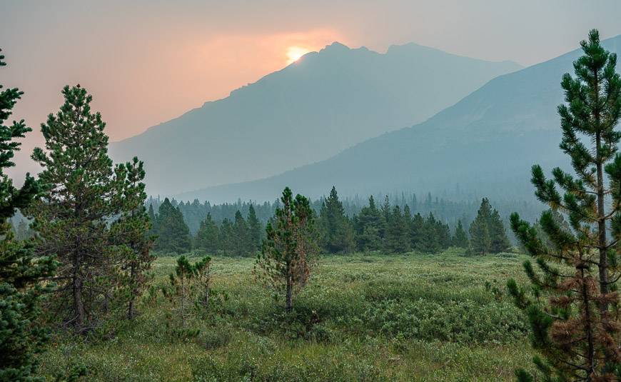 Evening light by the Four Point campground