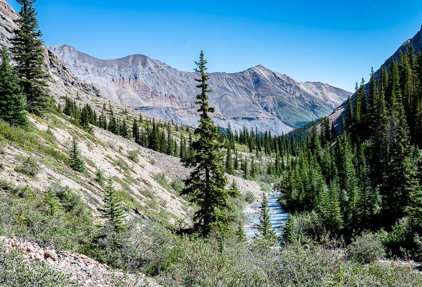 Looking down the valley in the direction of Brazeau Lake