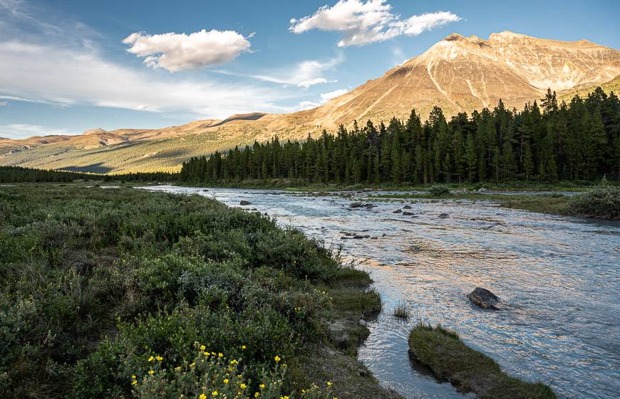 Evening sunset without smoke on the Brazeau Loop Trail