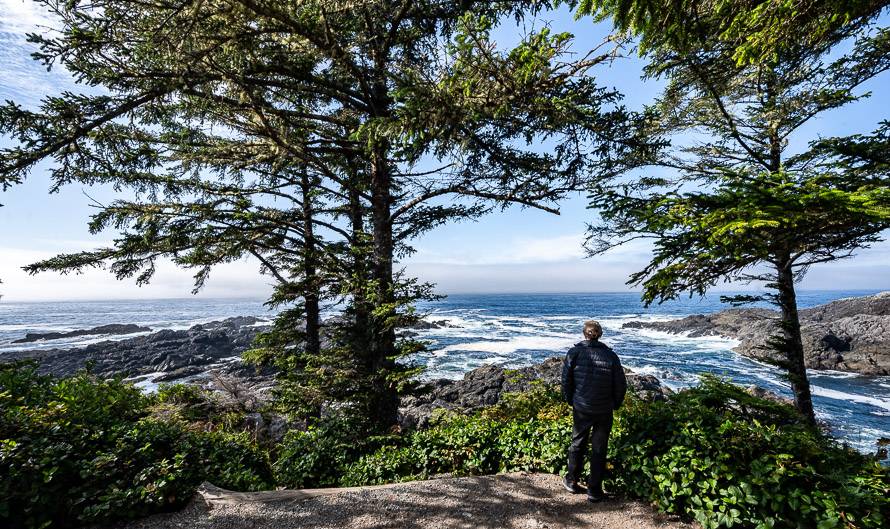 One of the scenic viewpoints on the Wild Pacific Lighthouse trail where you can watch the waves roll in