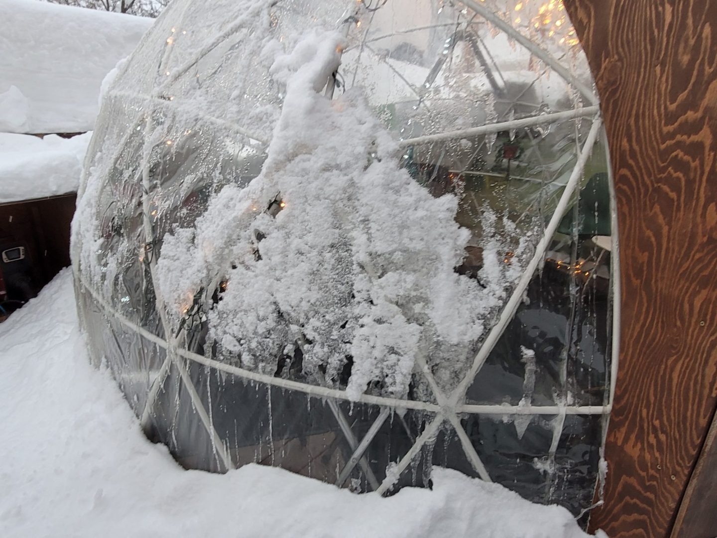 Creative thinking on the part of Reposados Tacos offering a dining experience in this dome 