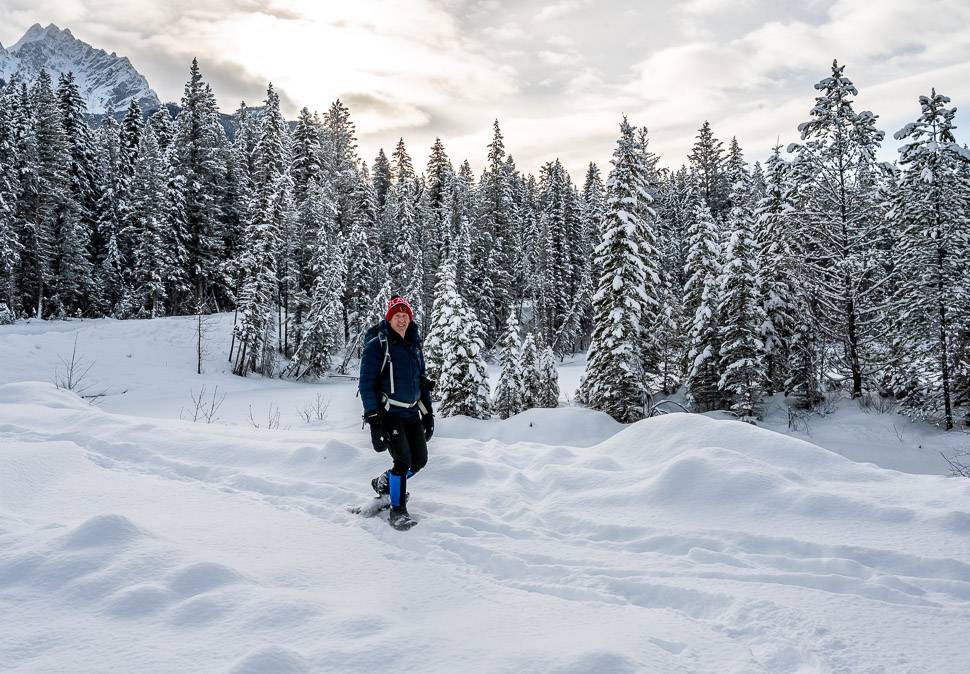 Exploring forest service roads on snowshoe