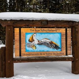 The Bow Valley Parkway sign at Castle Junction