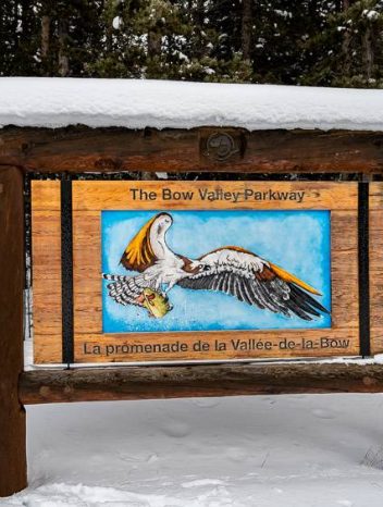 The Bow Valley Parkway sign at Castle Junction