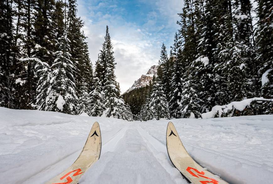 Baker Creek track sets the trails from their location down to at least Castle Mountain Resorts