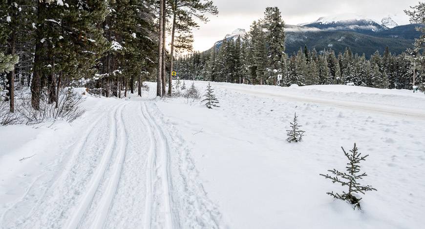 Reportedly you can even ski as far as Johnston Canyon