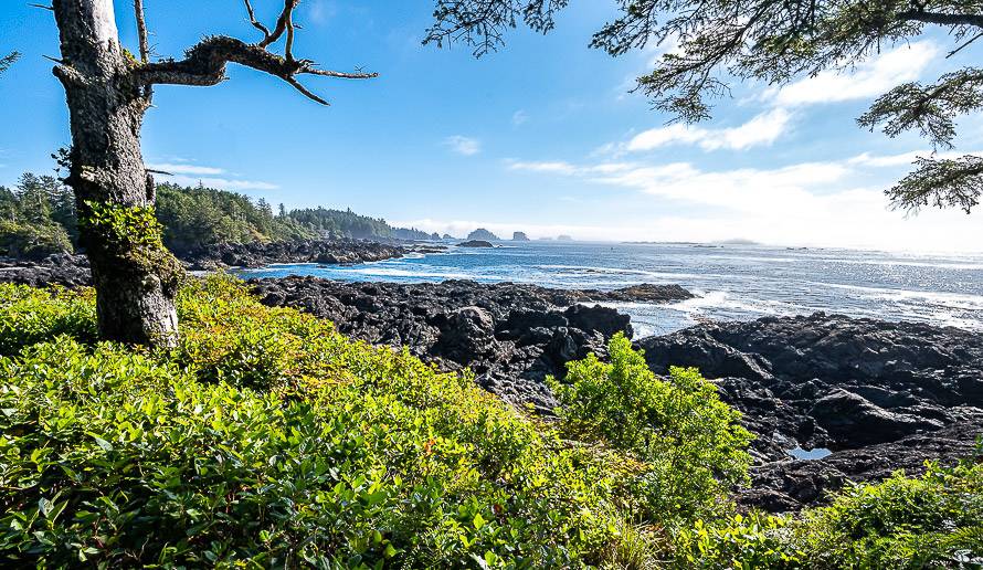 Spectacular scenery on the Lighthouse Loop Trail