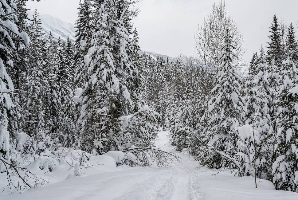 There's a fabulous amount of snow but most is well-packed down