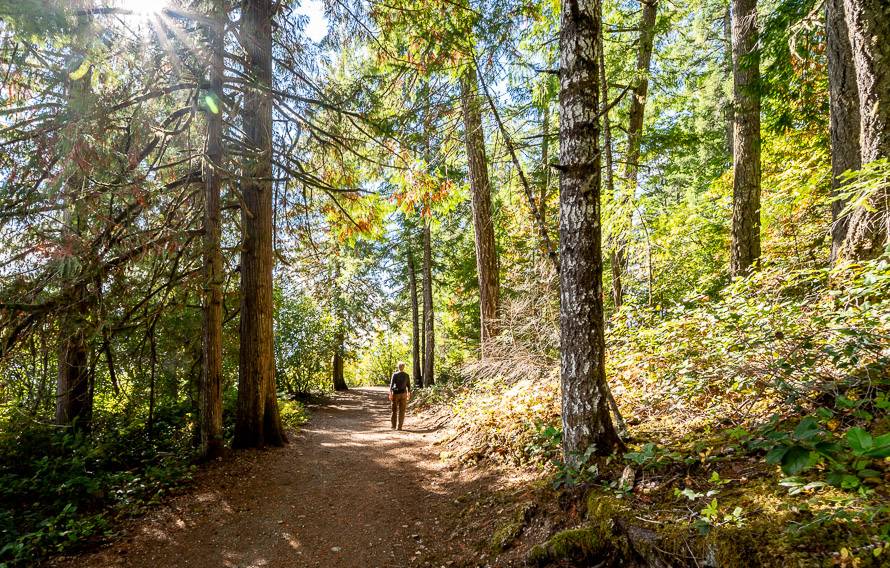 It's a pretty walk to see the petroglyphs in Sprout Lake Provincial Park