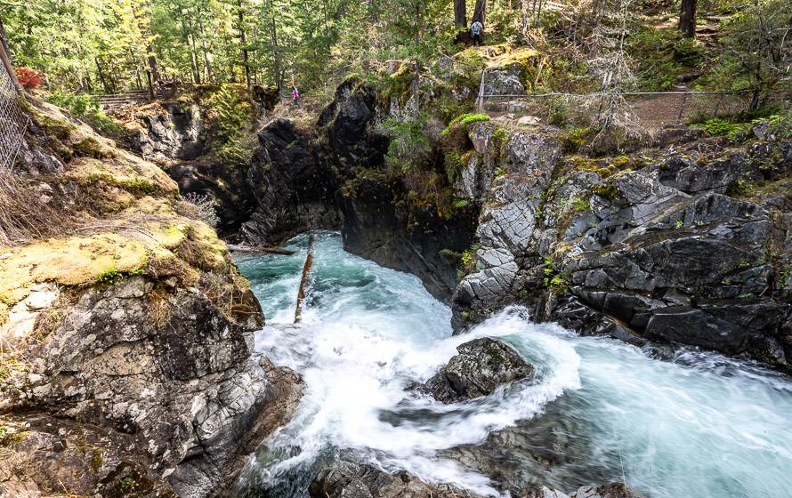 Notice the fencing all around Upper Qualicum Falls