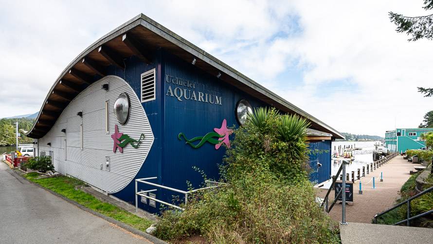 Detour on the Nanaimo to Tofino drive to the Ucluclet Aquarium especially if you have kids