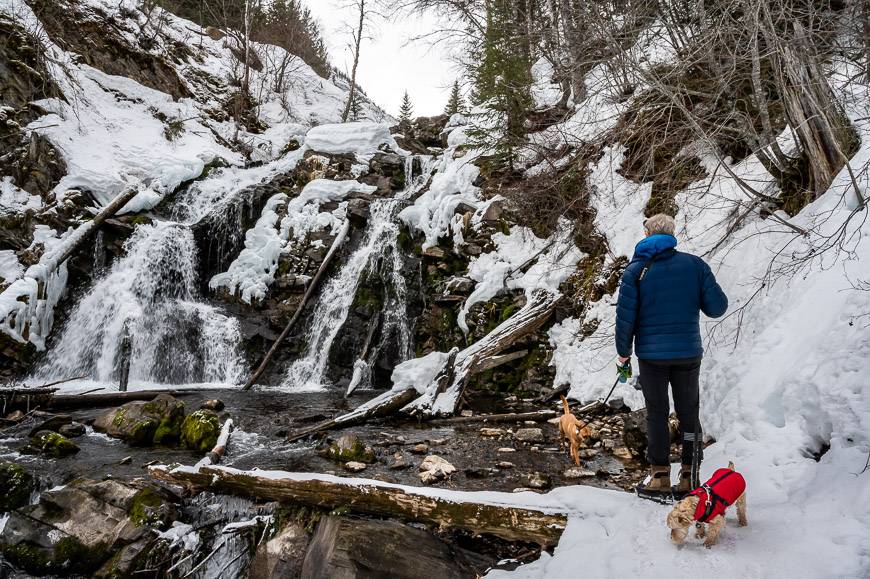 Fairy Creek Falls flowing in February