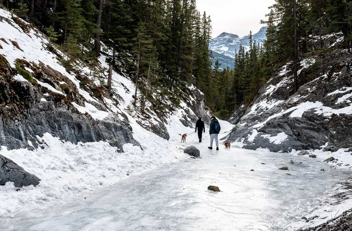 It would have been fun to skate a few small sections on the Grotto Canyon Ice Walk - a good warm up to enter the Crashed Ice contest