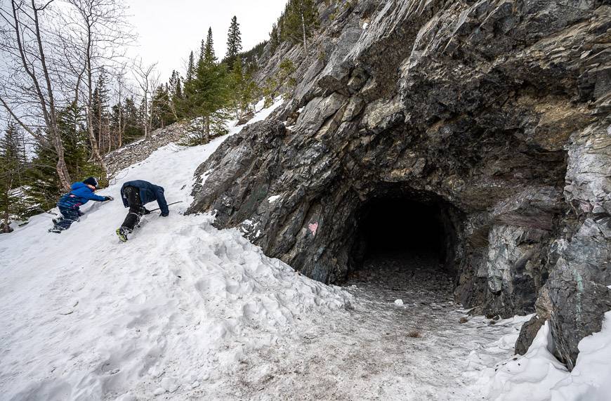 The end of the Heart Creek Bunker trail