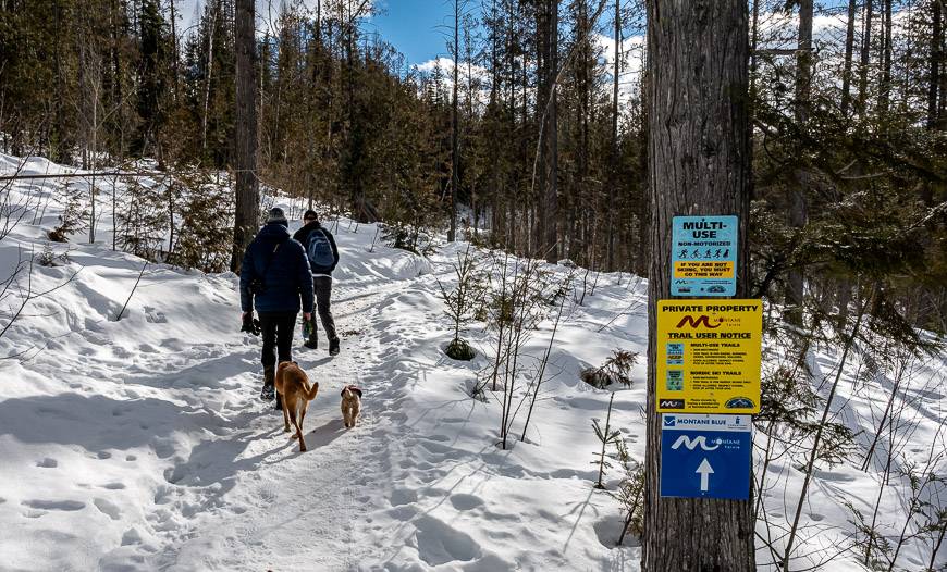 Open woods and lovely walking though sometimes confusing signage