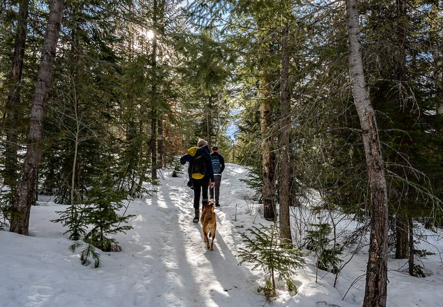 Exceptionally beautiful winter hiking in Fernie