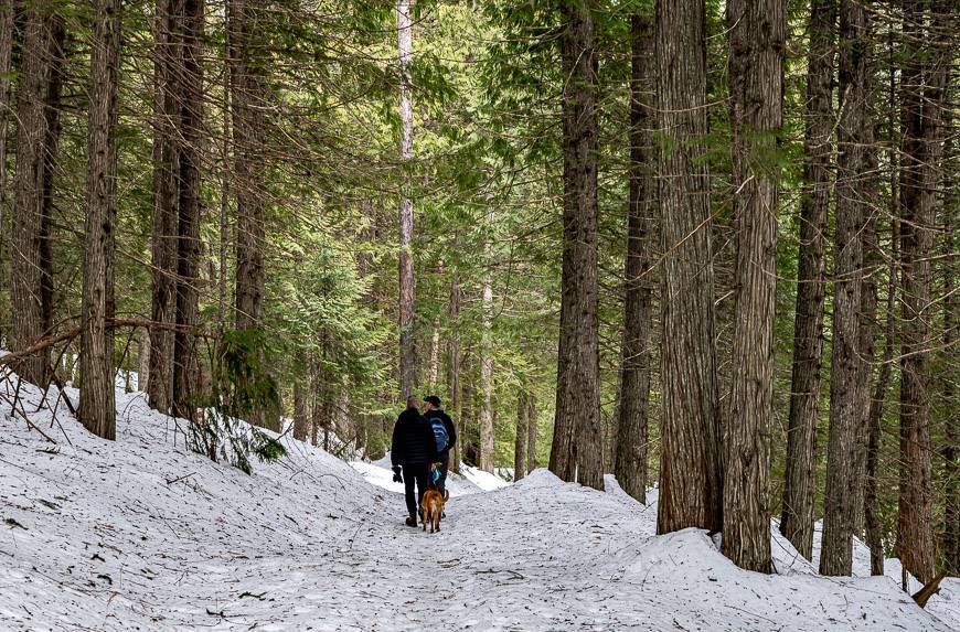 Truly delightful winter hiking in Fernie 