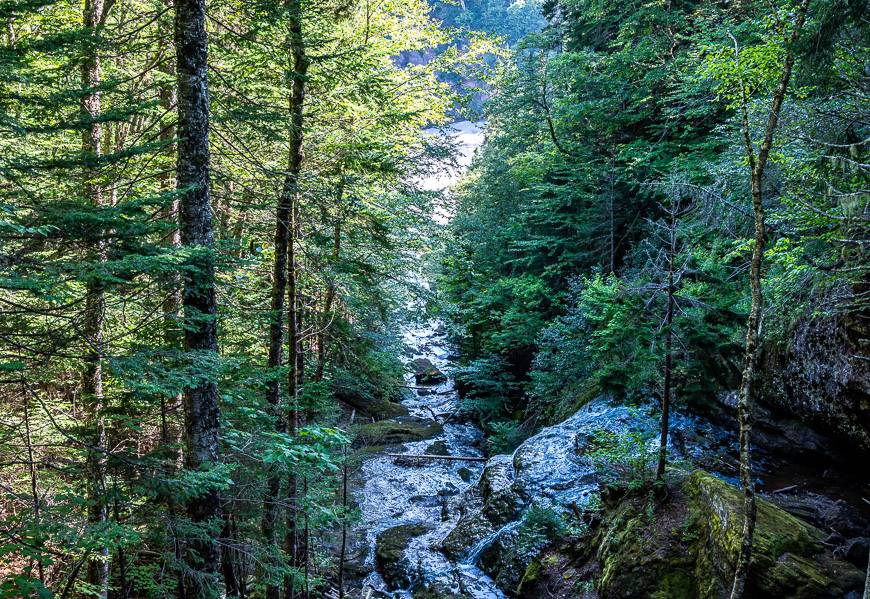 The lower falls set in lush green forest are very beautiful too