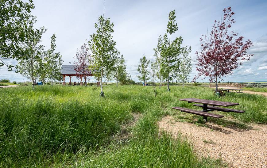 There are picnic tables - including some with shade near the overlooks