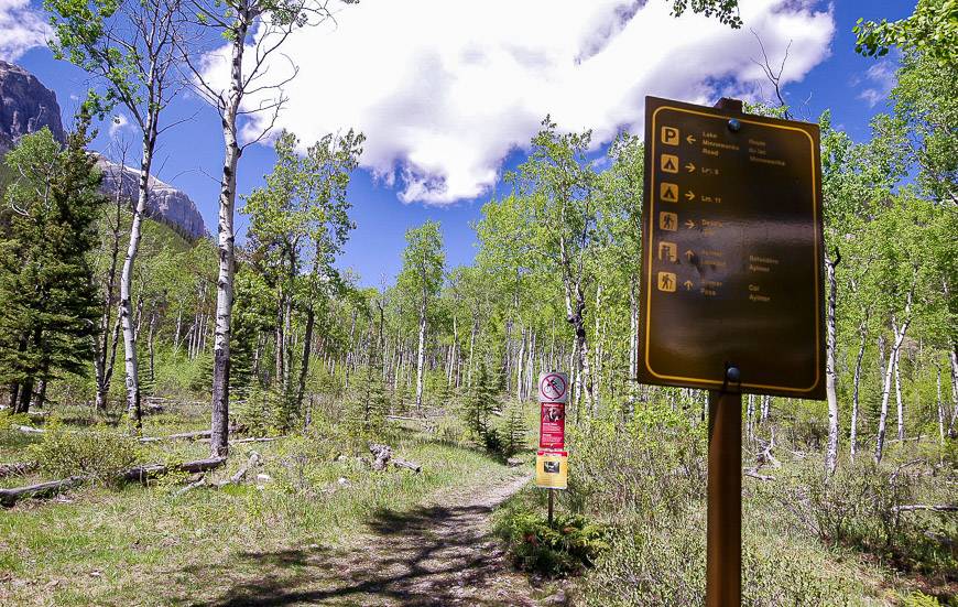 Good signage for the hike and the campsites