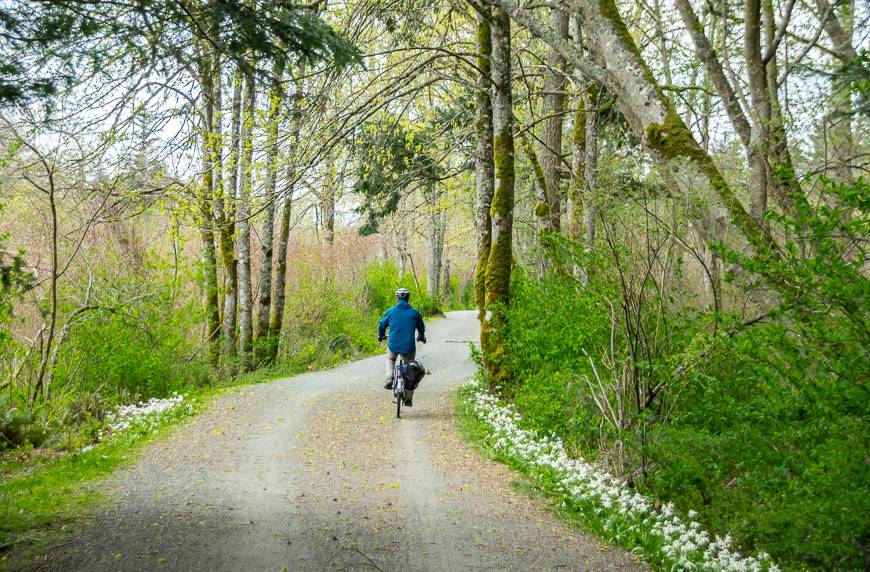 A pretty section of the Lochside Trail