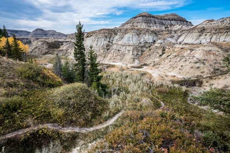 horseshoe canyon hike