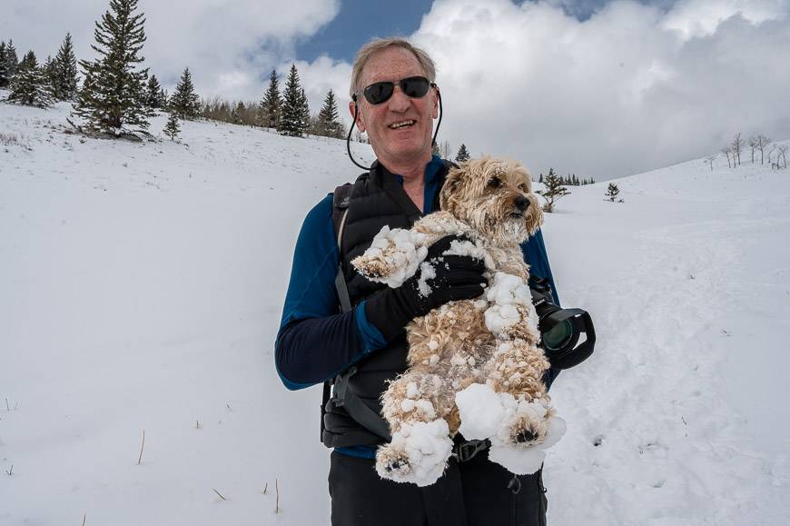 Our son's dog is not built for hiking in sticky snow